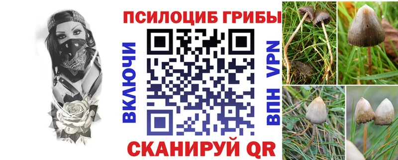 закладки  Челябинск  Галлюциногенные грибы MAGIC MUSHROOMS 